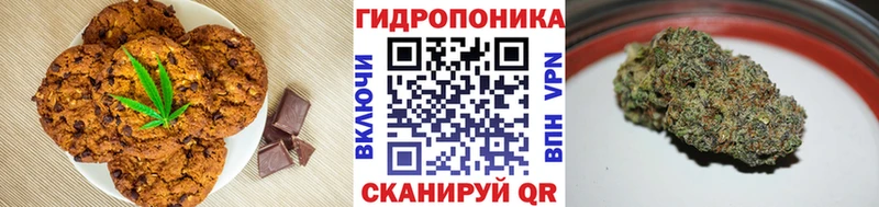 Canna-Cookies конопля  Купить где  Сясьстрой 
