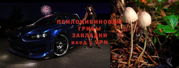 бошки Коряжма