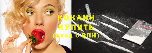 соль ск Костерёво