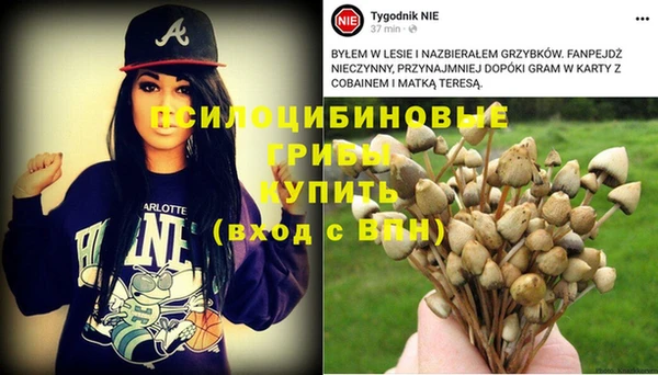 соль ск Костерёво