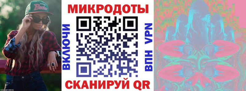 Купить закладки  Сясьстрой  Галлюциногенные грибы прущие грибы 